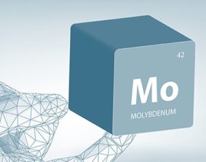 Thermal Spray Powders Molybdenum Elmet